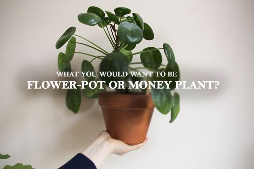 What you would want to be Flower-pot or Money Plant?- A brief Counselling Conversation