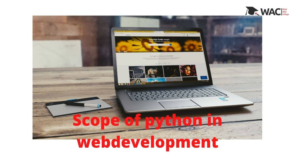 Scope of python in web development