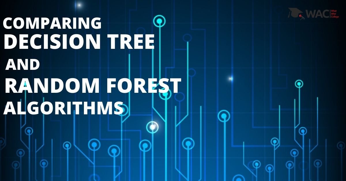 Decision tree vs. random forest algorithm