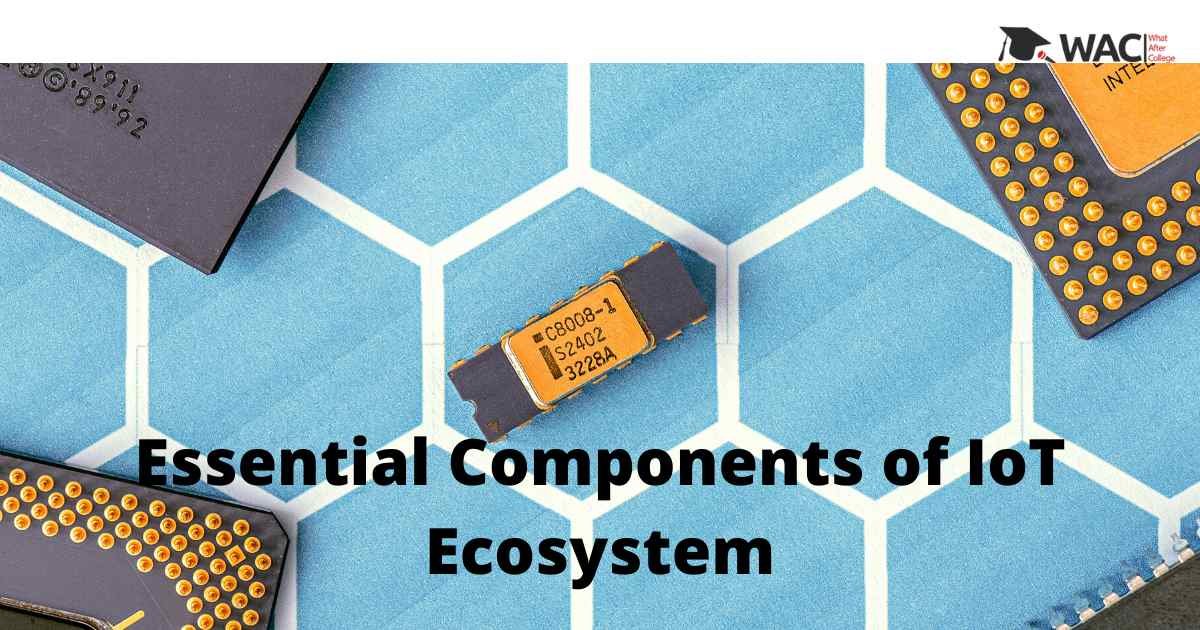Essential components of IoT ecosystem