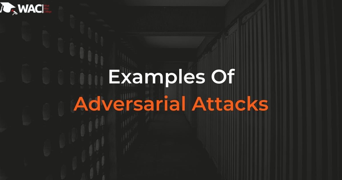 Examples Of Adversarial Attacks