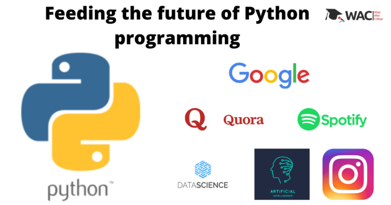 Is there any Future of Python Programming