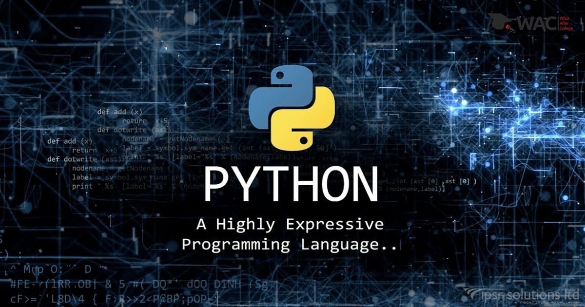 Use of Python at Google 