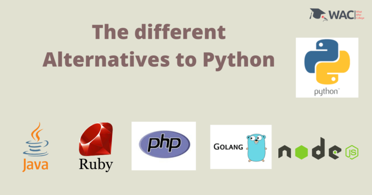 What are the different alternatives to python