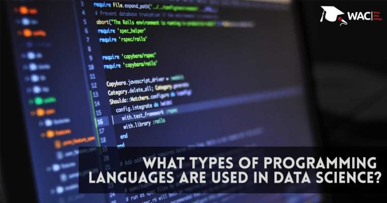 Programming Languages in Data Science