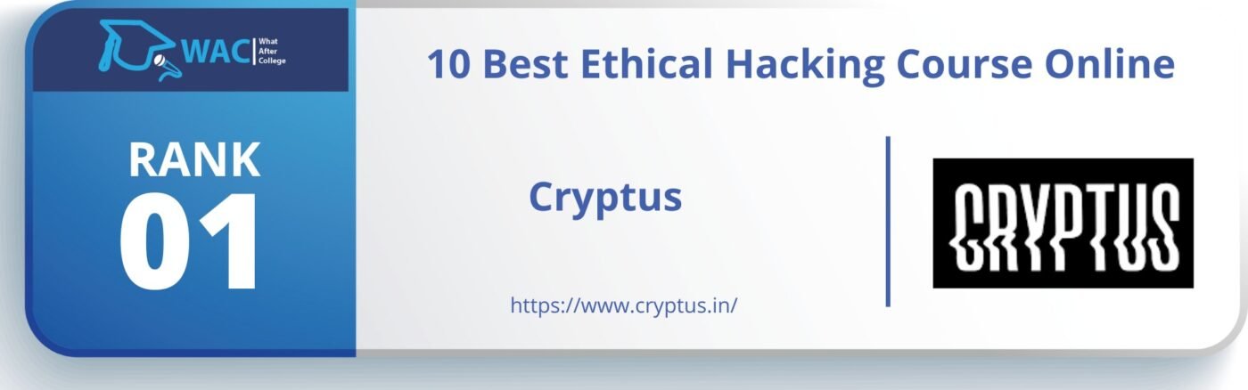 ethical hacking course online
