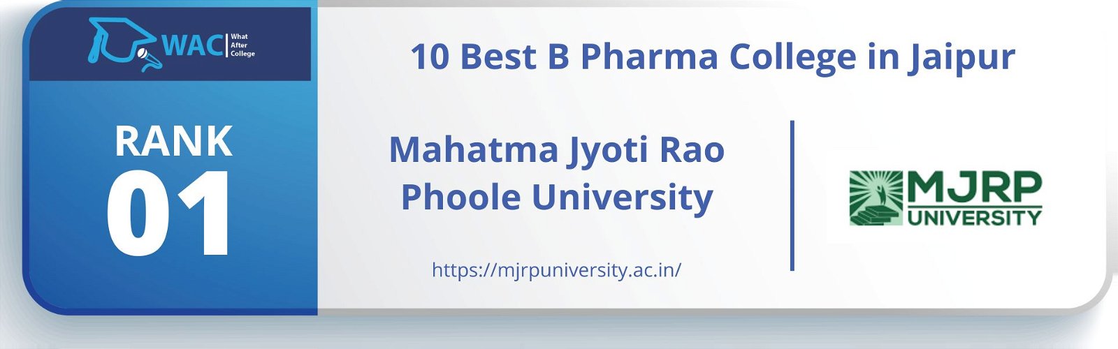 b pharma college in jaipur